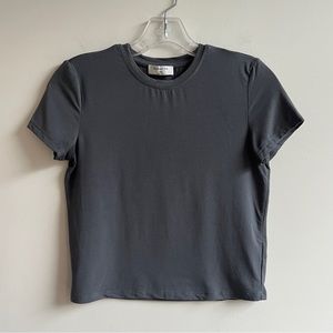 Aritzia Babaton charcoal gray cropped baby doll t shirt